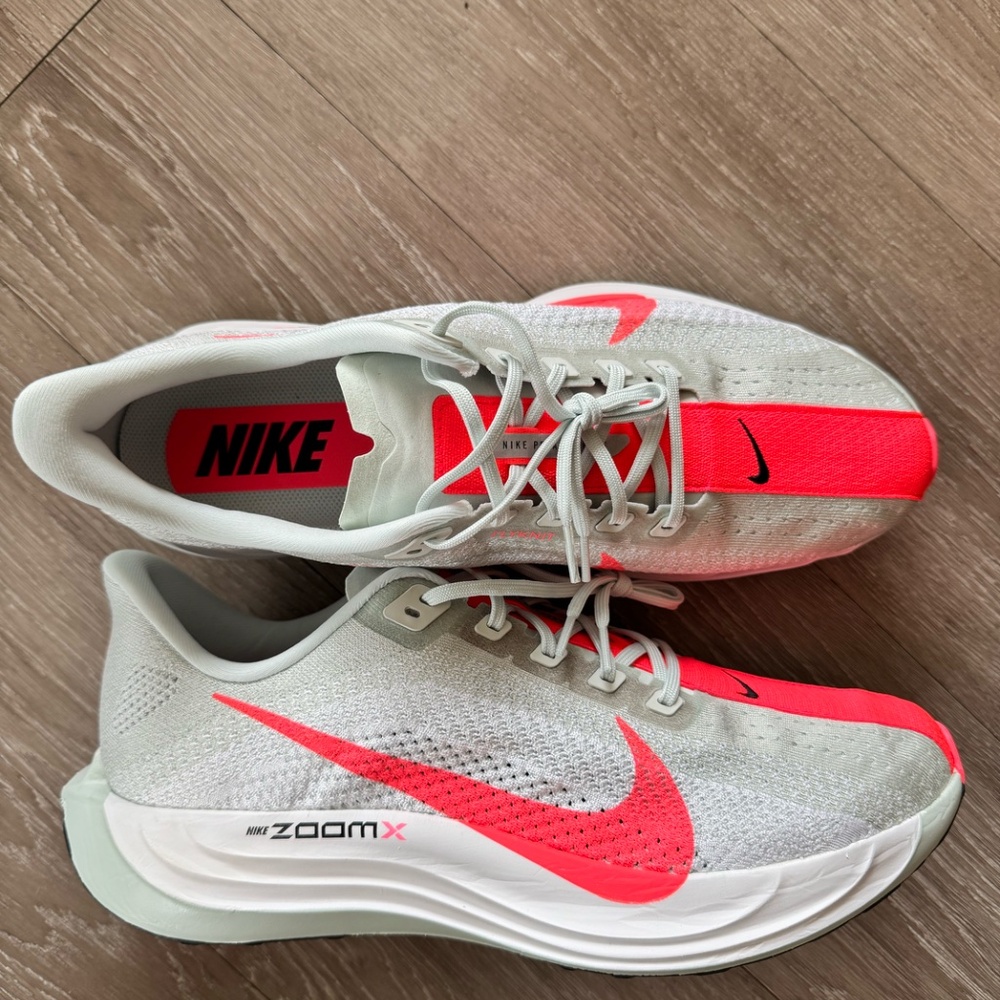 Pegasus Plaus (Turbo) *Brand New*